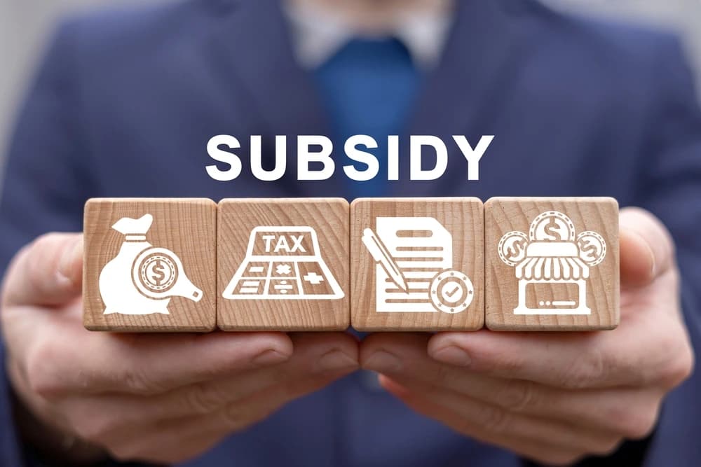 Government Incentive and Subsidy Consulting in Ahmedabad